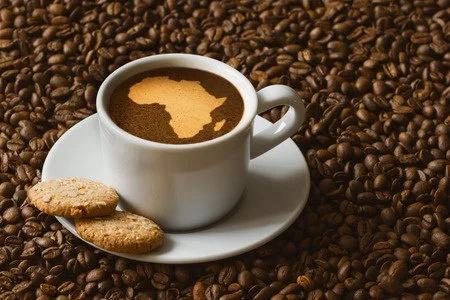 le café Touba